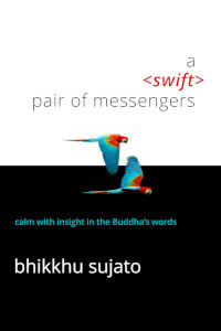 A Swift Pair of Messengers